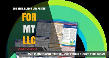 LLC Labor Law Posters: Are They Mandatory for Your Business?