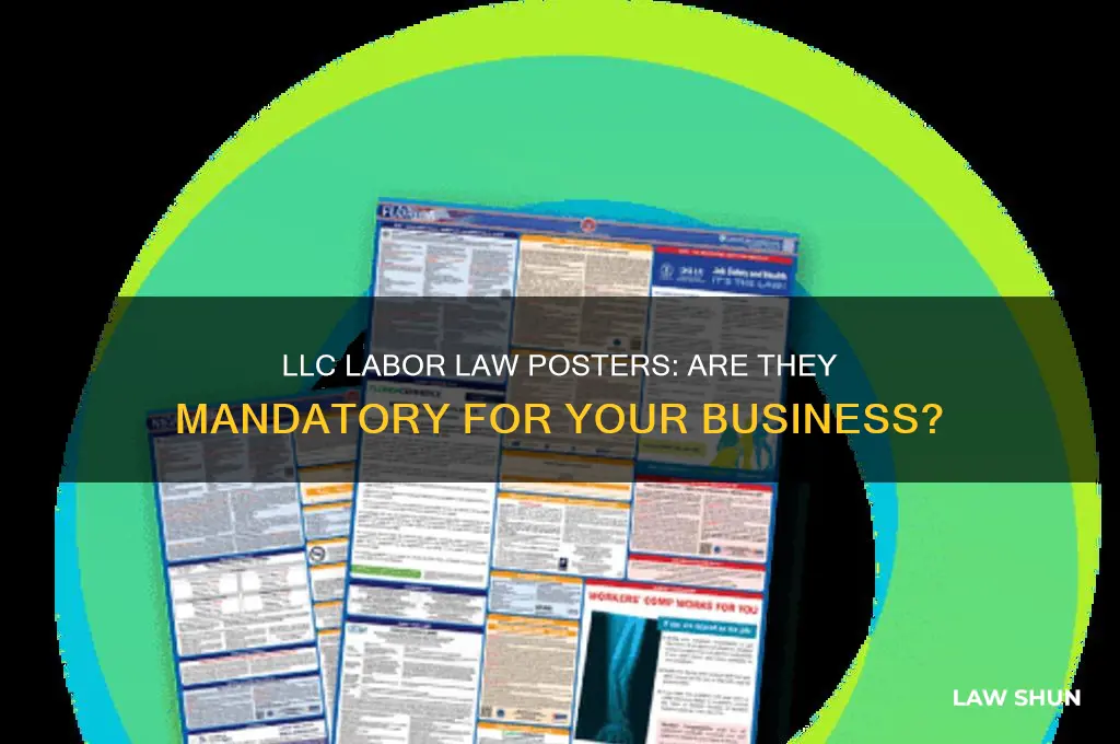 do i need a labor law poster for my llc