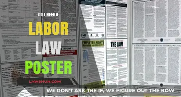 Do I Need a Labor Law Poster? Essential Compliance Guide