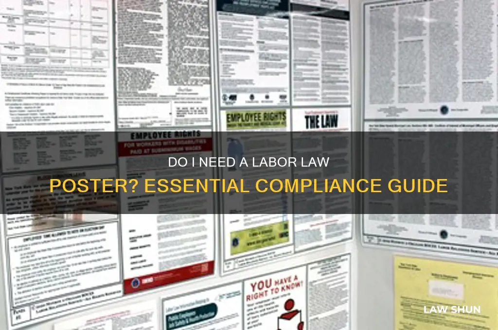 do i need a labor law poster