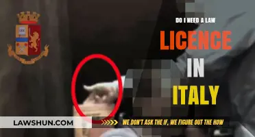 Do You Need a Law License to Practice in Italy?