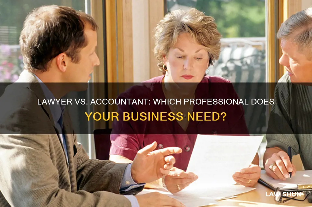 do i need a lawer or accountant