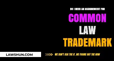 Common Law Trademark: Assignments Explained