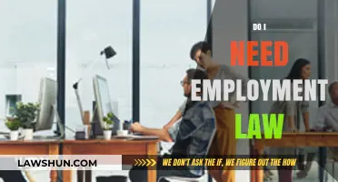 Understanding Employment Law: Essential for Every Workplace and Employee