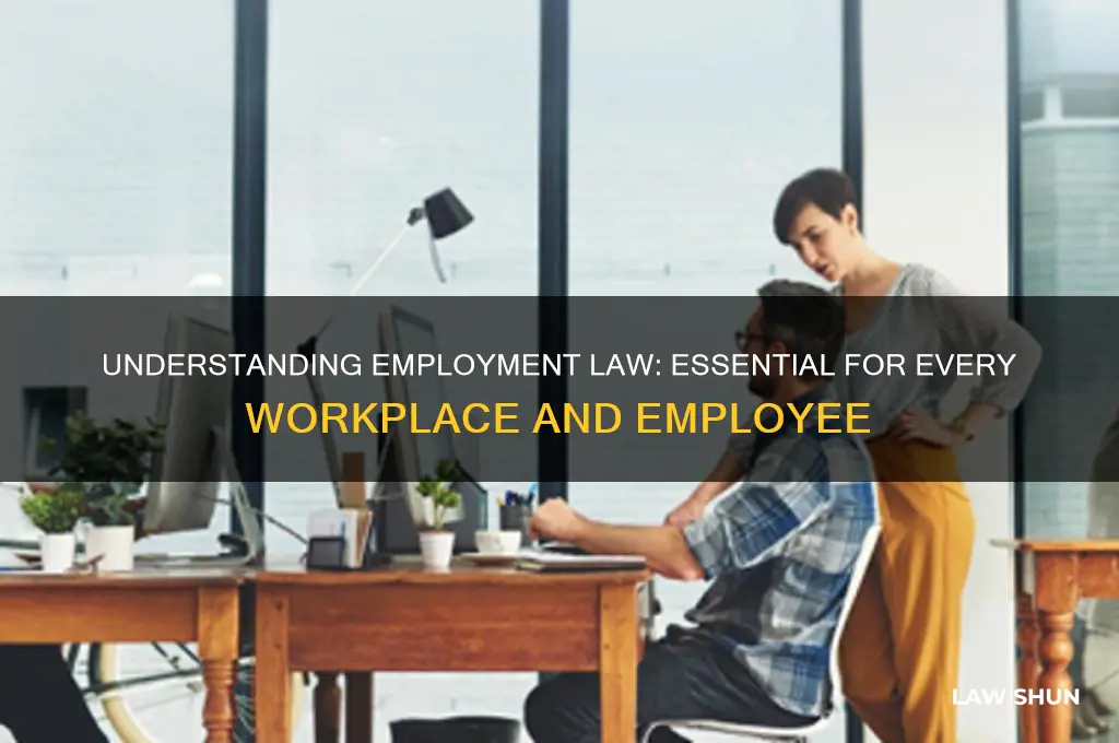 do i need employment law