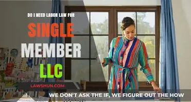 Labor Law Essentials for Single-Member LLCs: What You Need to Know