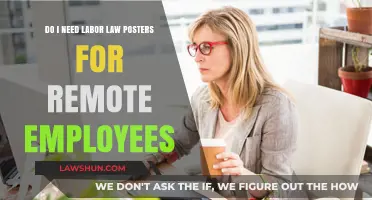 Remote Work Compliance: Are Labor Law Posters Necessary for Virtual Teams?