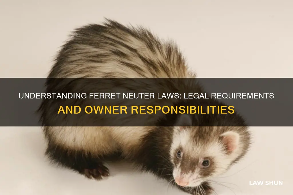 do i need to neuter ferret law