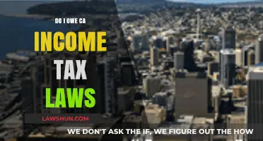 California Income Tax Laws: What You Need to Know