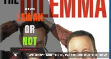 To Save or Not to Save Lawan: A Difficult Decision