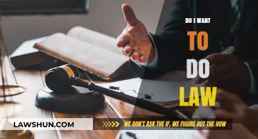 Exploring the Path to Law: A Guide for Aspiring Lawyers