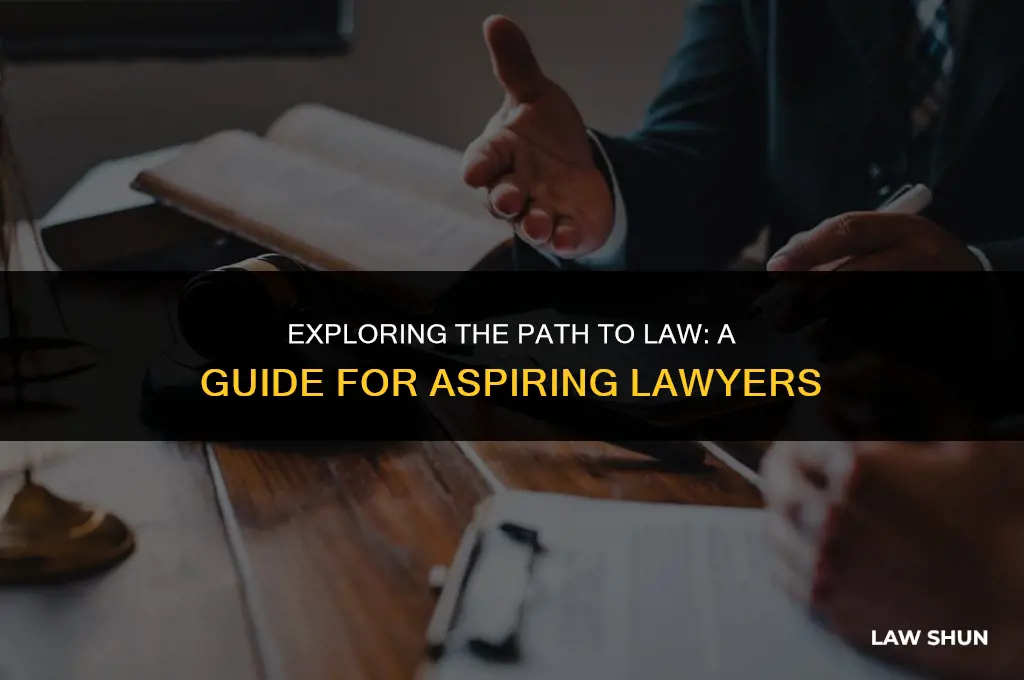 do i want to do law