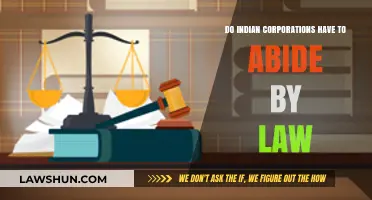 Corporate Law in India: Who Makes the Rules?