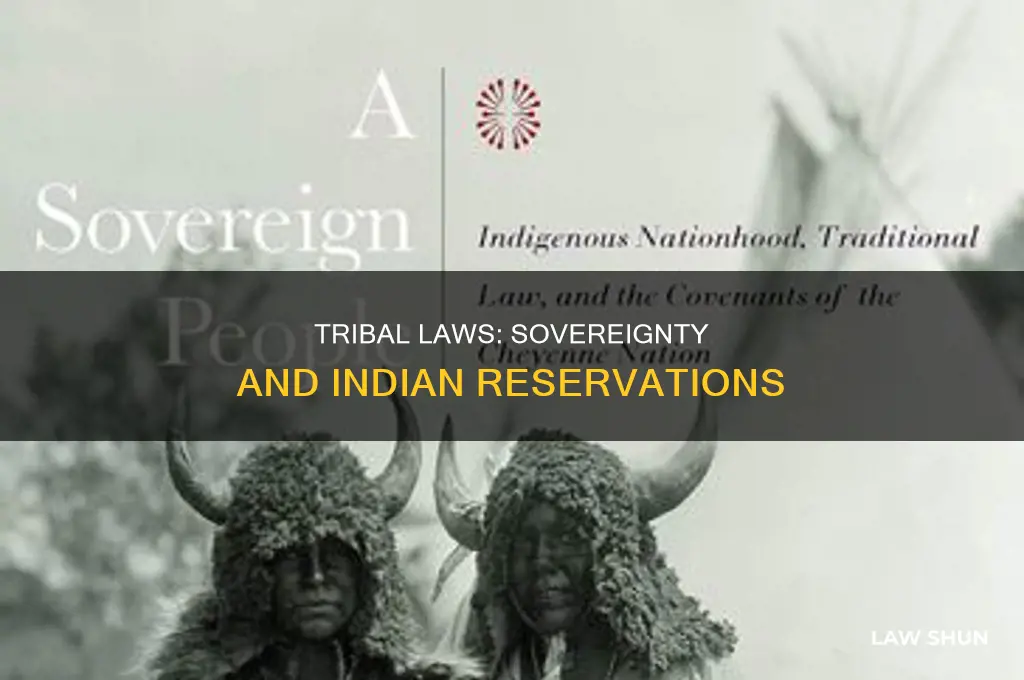 do indian tribes have their own laws