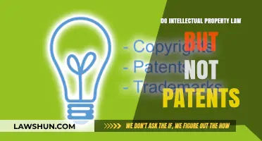 Navigating Intellectual Property Law Beyond Patents: Trademarks, Copyrights, and Trade Secrets