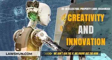 Intellectual Property Laws: Fostering Creativity or Hindering Innovation?