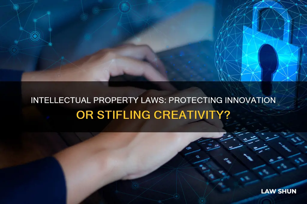 do intellectual property laws go too far