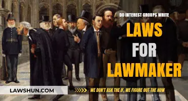 Interest Groups' Influence: Do They Draft Laws for Lawmakers?