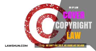 Does IP Law Encompass Copyright Protection? Understanding Legal Overlap