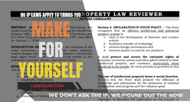 IP Laws: Self-Made Creations and Legal Boundaries