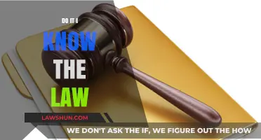 Navigating Legal Boundaries: Understanding 'Do It' in the Context of Law