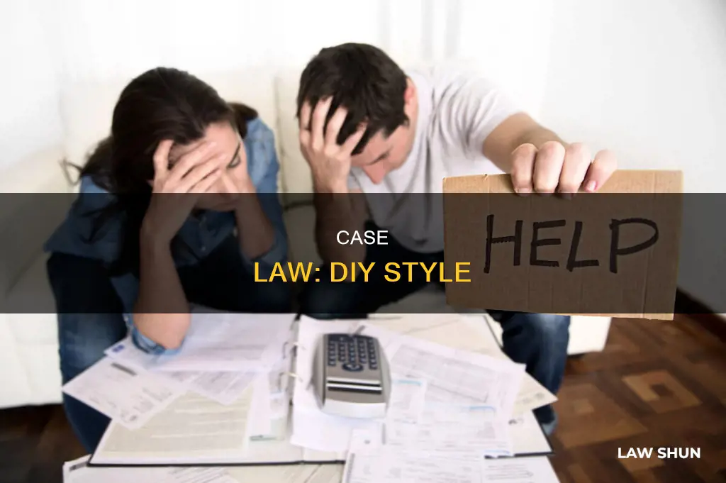 do it yourself case law