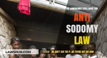 Jamaica's Anti-Sodomy Law: Still Enforced?