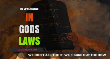 Divine Statutes: Exploring the Jewish Perspective on God's Laws