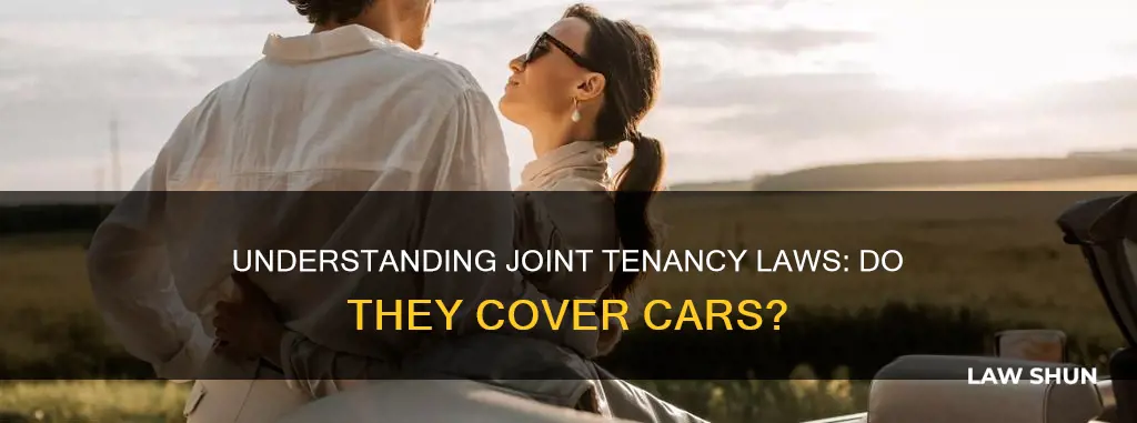 do joint tenancy laws apply to cars