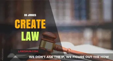 Judicial Lawmaking: Judges as Quasi-Legislators