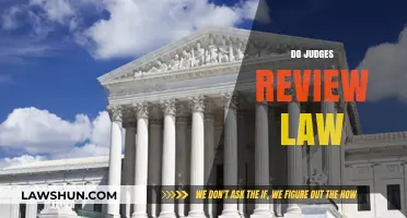 Do Judges Review Law? Understanding Judicial Interpretation and Oversight