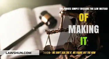 Judges: Law Declarers or Creators? Exploring Judicial Role and Limits