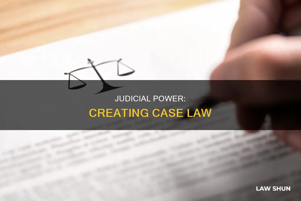 do judges write case law