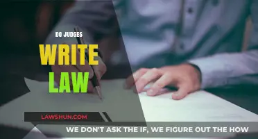 Do Judges Write Law? Exploring Judicial Power and Legal Interpretation