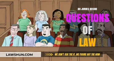 Deliberating Justice: Do Juries Decide Questions of Law?