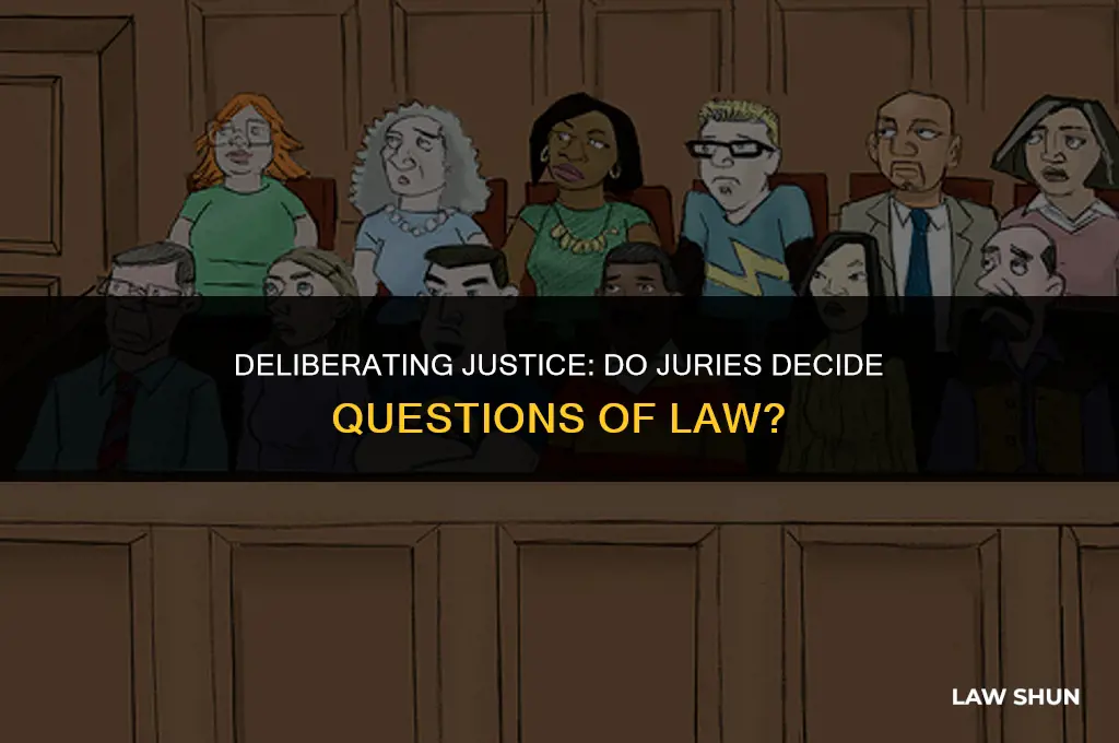 do juries decide questions of law
