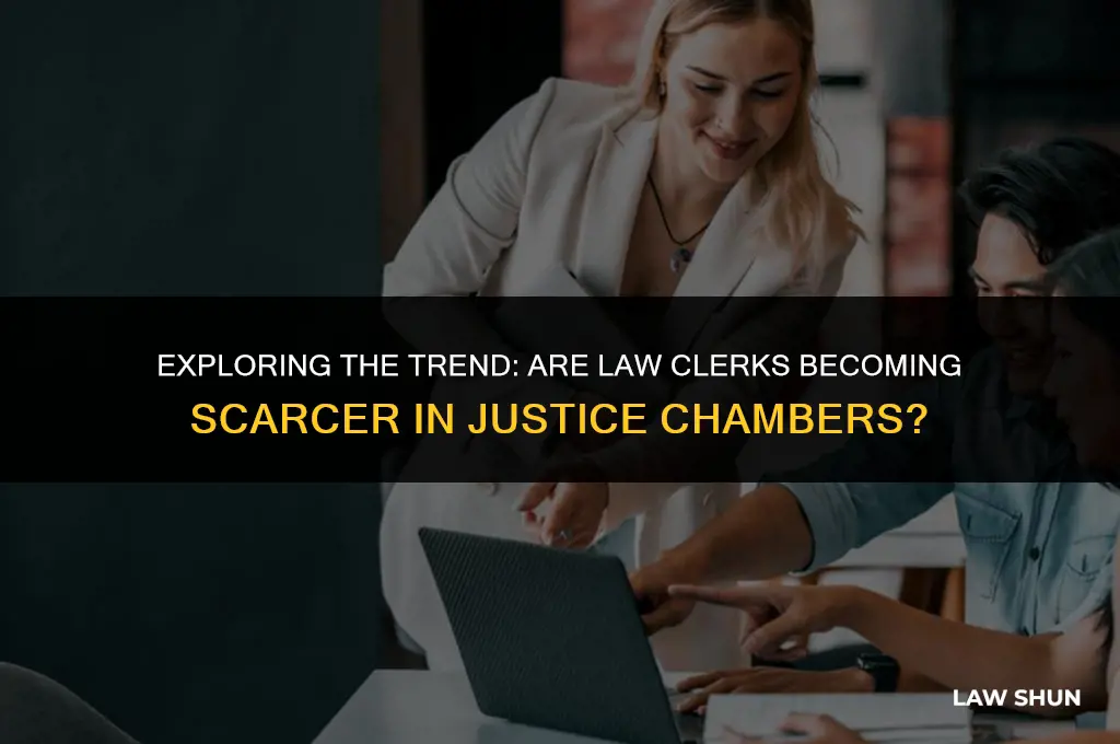 do justices have fewer law clerks
