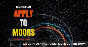 Kepler's Laws: Moons Included?