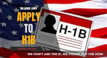 Understanding Labor Law Protections for H-1B Visa Holders