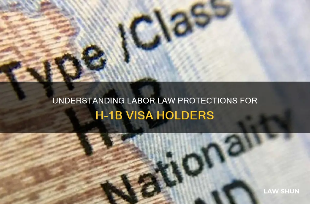 do labor laws apply to h1b