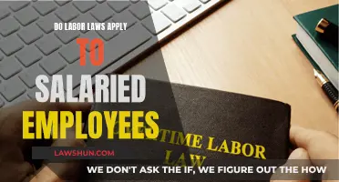 Understanding Labor Laws: Salaried Employees' Rights Explained