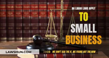 Labor Laws: Small Business Compliance and Exemptions