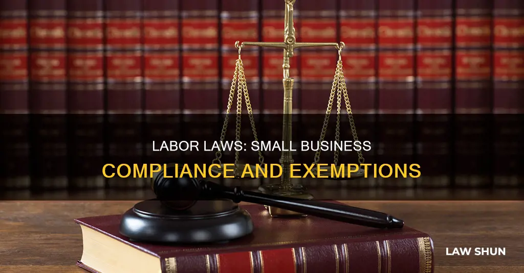 do labor laws apply to small business