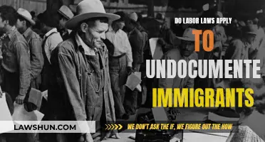 Undocumented Immigrants: Do They Have Labor Law Protections?