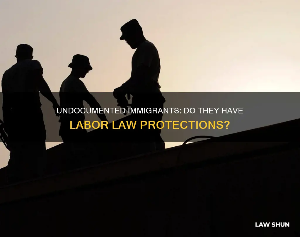 do labor laws apply to undocumented immigrants