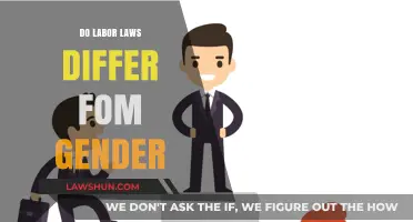 Gender and Labor Laws: Exploring Differences in Workplace Protections