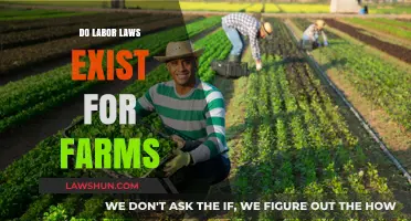 Do Labor Laws Apply to Farms? Exploring Agricultural Worker Rights