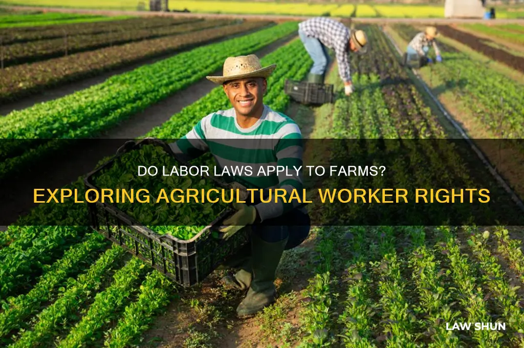 do labor laws exist for farms