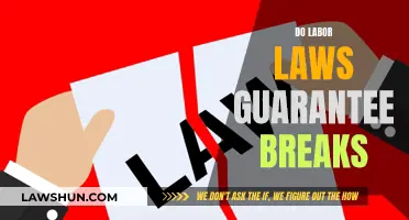 Labor Laws: Understanding Your Break Rights