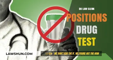 Do Law Clerk Positions Require Drug Testing?